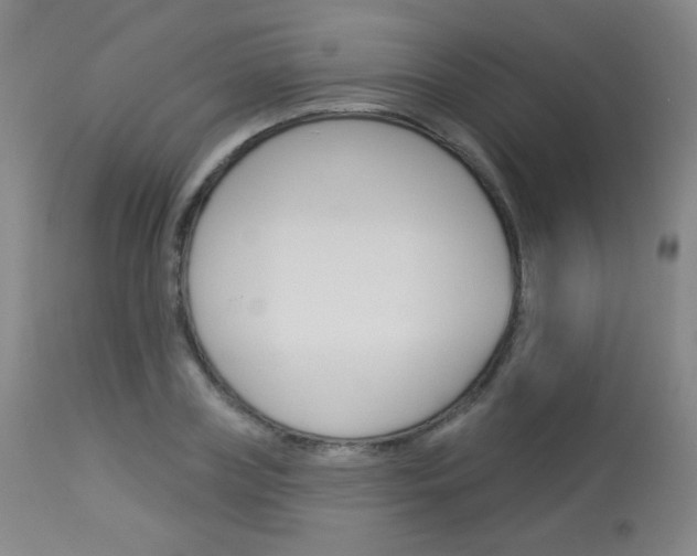 X0000114130835200910081000