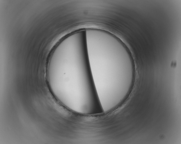 X0000114130837200910081000