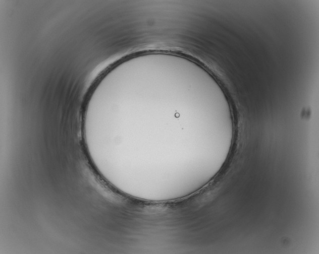 X0000114130838200910081000