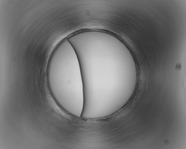 X0000114130840200910081000
