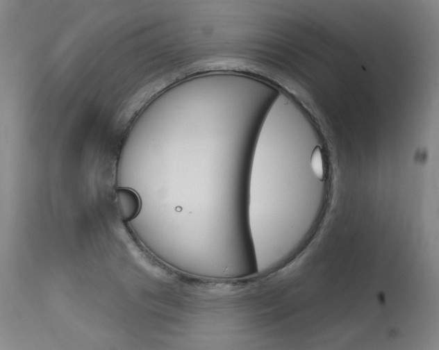 X0000114130841200910081000