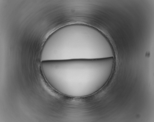 X0000114130842200910081000