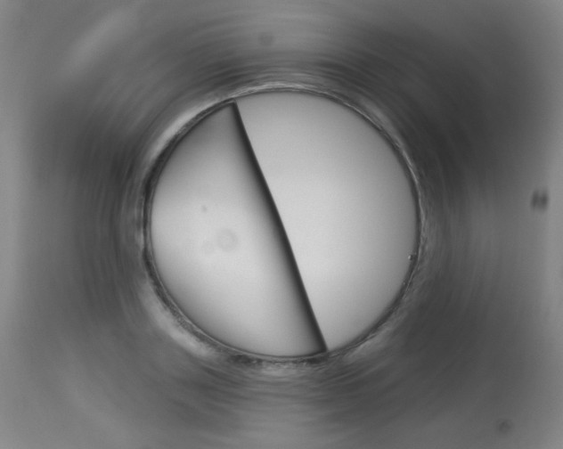 X0000114130843200910081000