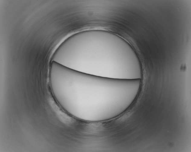 X0000114130844200910081000