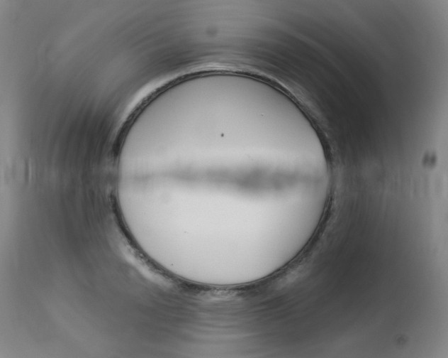 X0000114130846200910081000