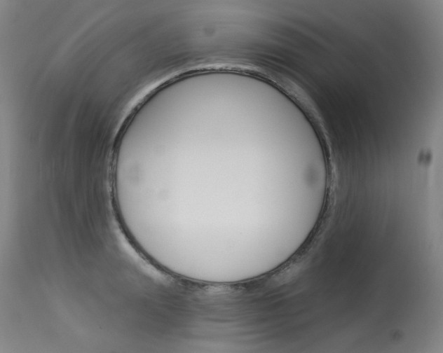X0000114130847200910081000