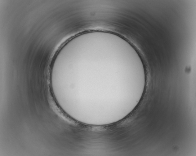X0000114130848200910081000