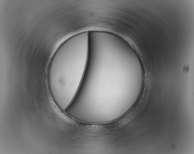 X0000114130854200910081000