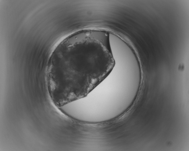 X0000114130855200910081000