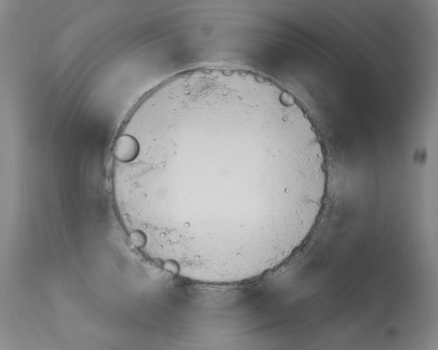 X0000114130856200910081000