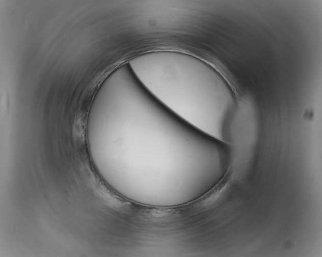 X0000114130857200910081000
