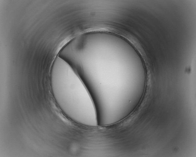 X0000114130858200910081000