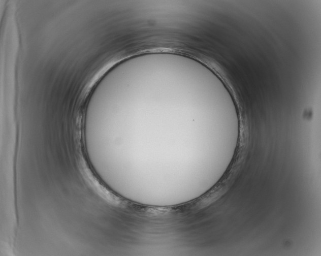 X0000114130859200910081000