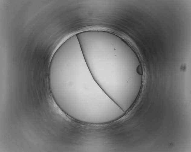 X0000114130860200910081000
