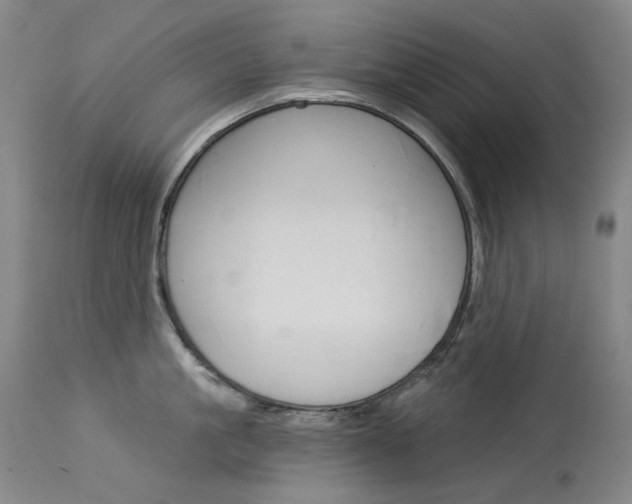 X0000114130861200910081000