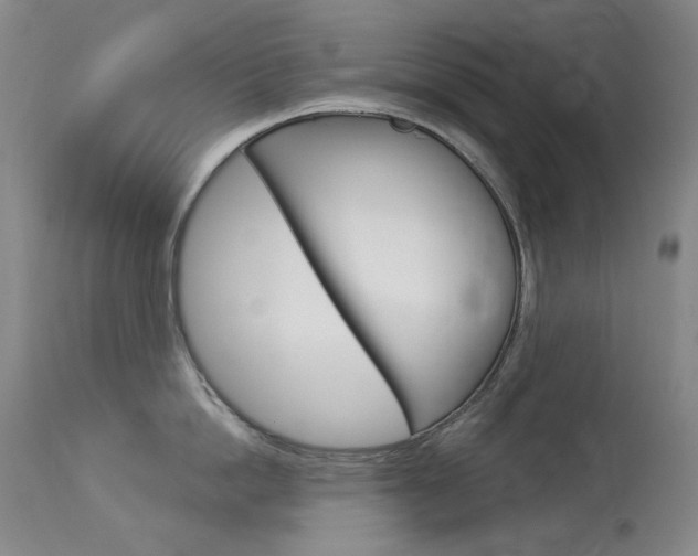 X0000114130862200910081000