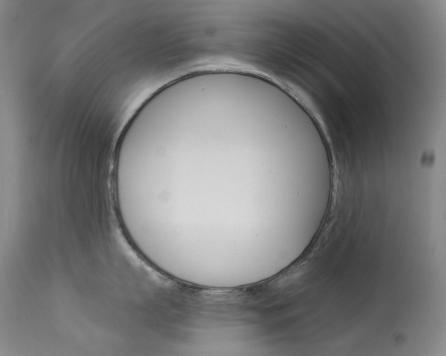 X0000114130863200910081000