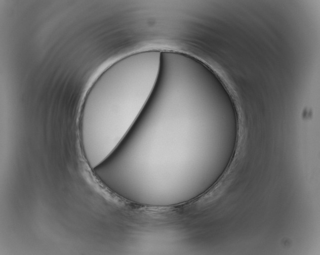 X0000114130864200910081000
