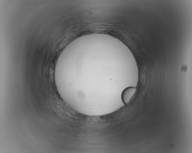 X0000114130866200910081000