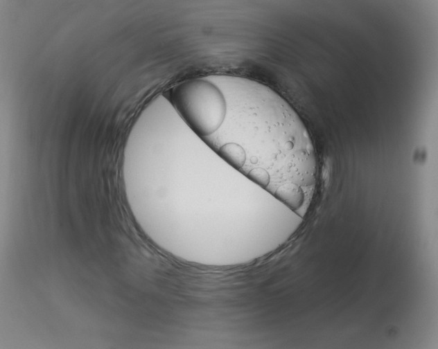 X0000114130867200910081000