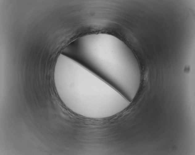 X0000114130868200910081000