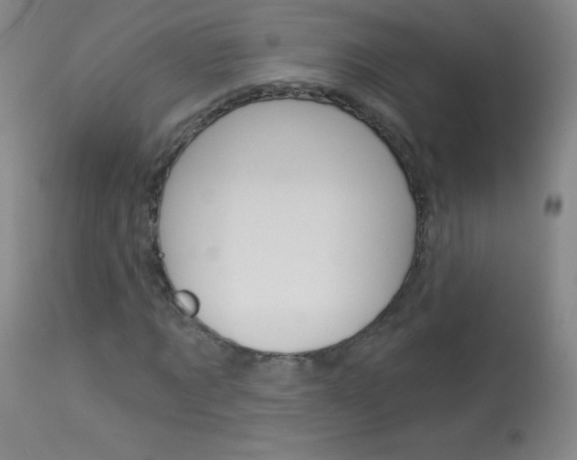 X0000114130869200910081000