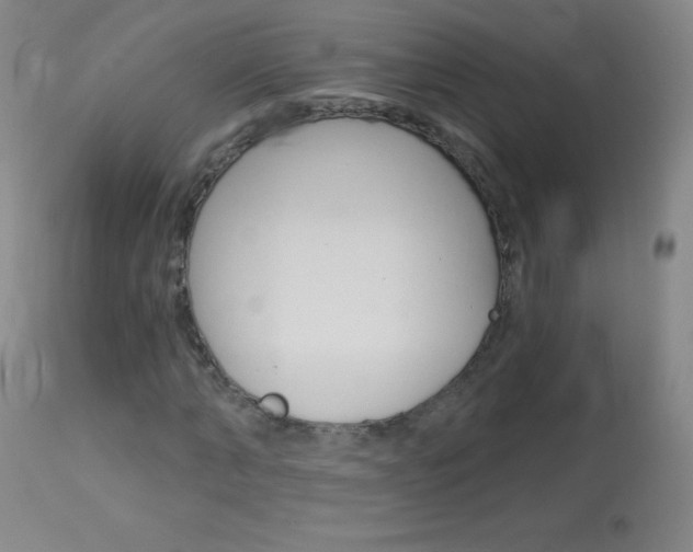 X0000114130870200910081000