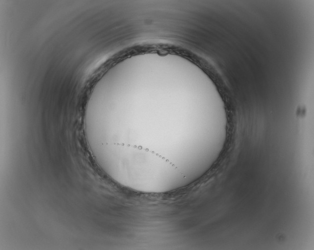 X0000114130871200910081000