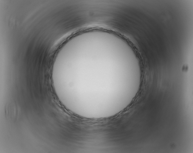 X0000114130872200910081000