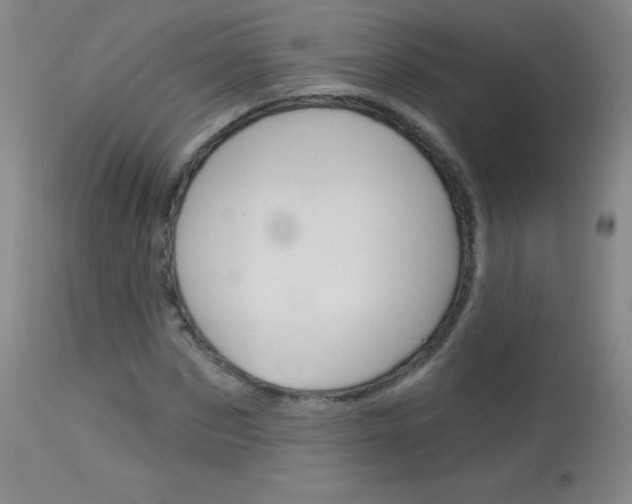 X0000114130873200910081000