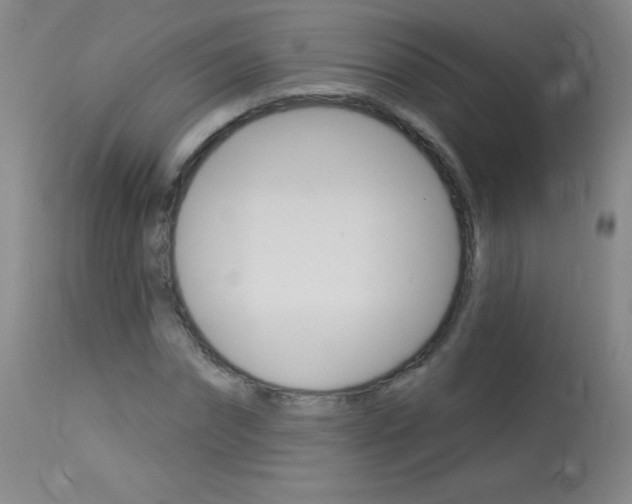 X0000114130874200910081000