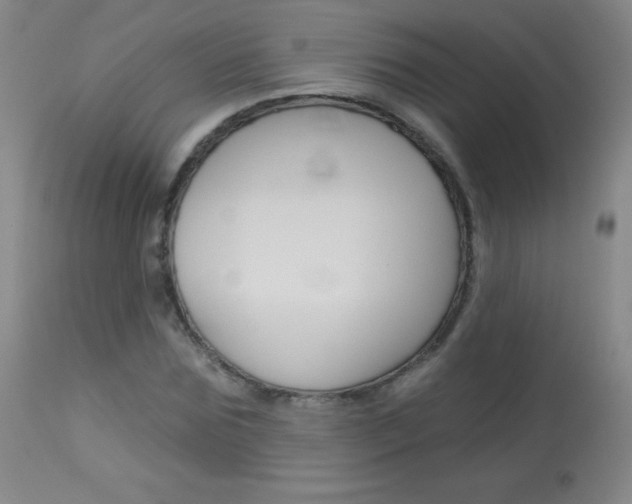 X0000114130875200910081000
