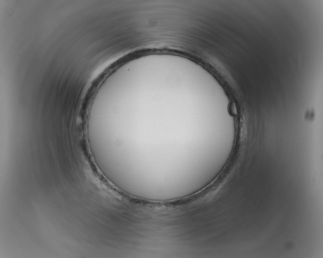 X0000114130876200910081000
