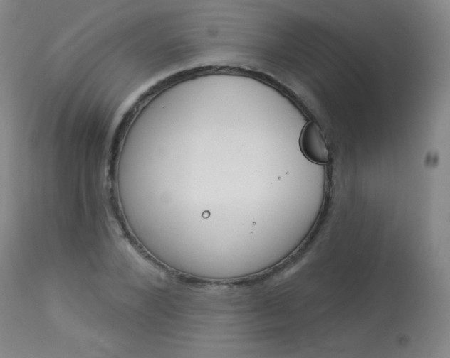 X0000114130880200910080959
