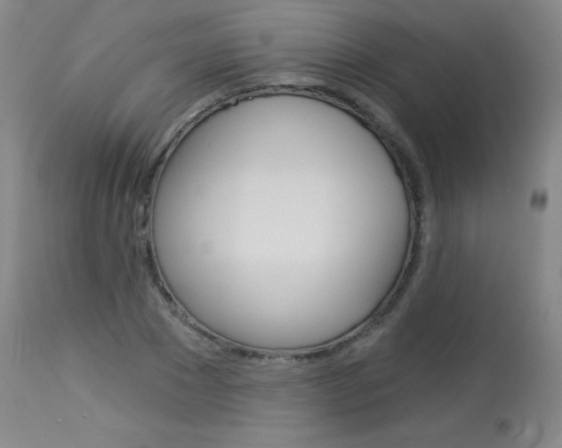 X0000114130881200910080959