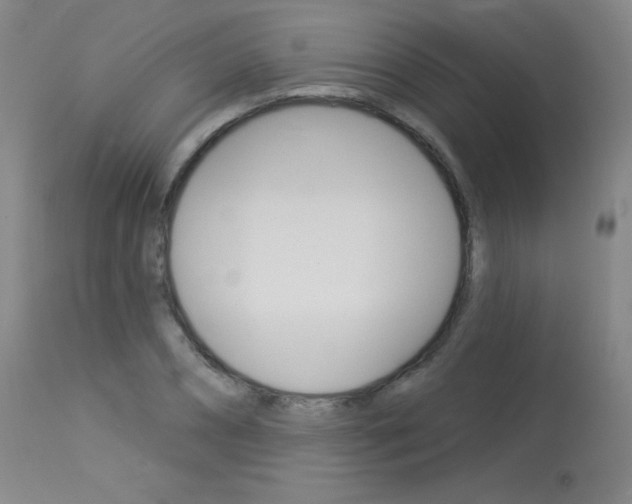 X0000114130882200910080959