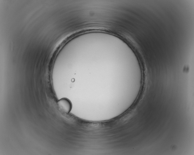 X0000114130883200910080959