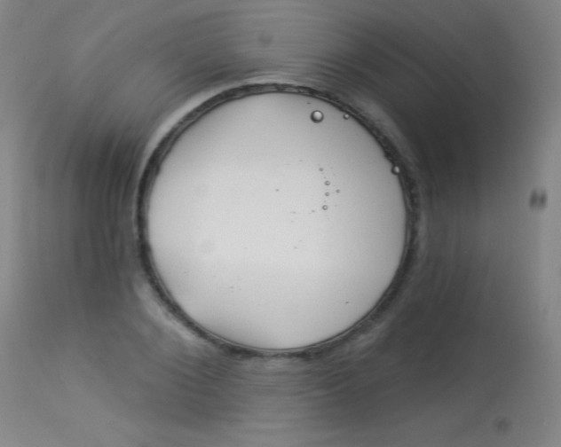 X0000114130884200910080959