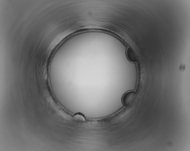 X0000114130885200910080959