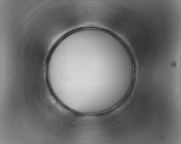 X0000114130888200910080959