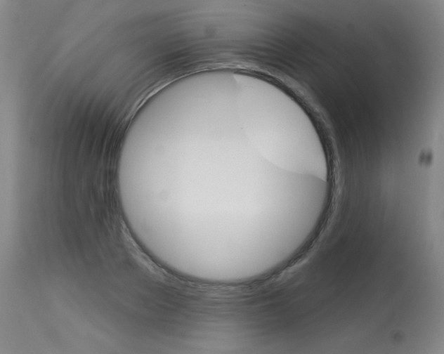 X0000114130889200910080959