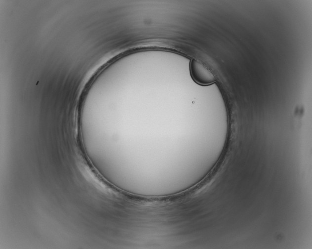 X0000114130892200910080959