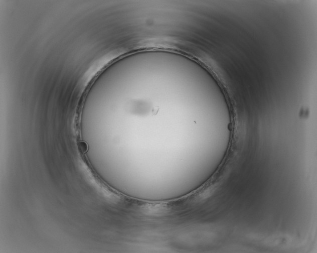X0000114130893200910080959