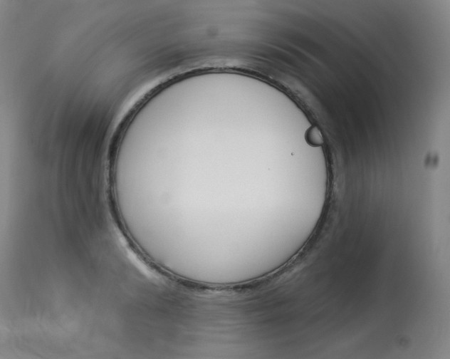 X0000114130894200910080959