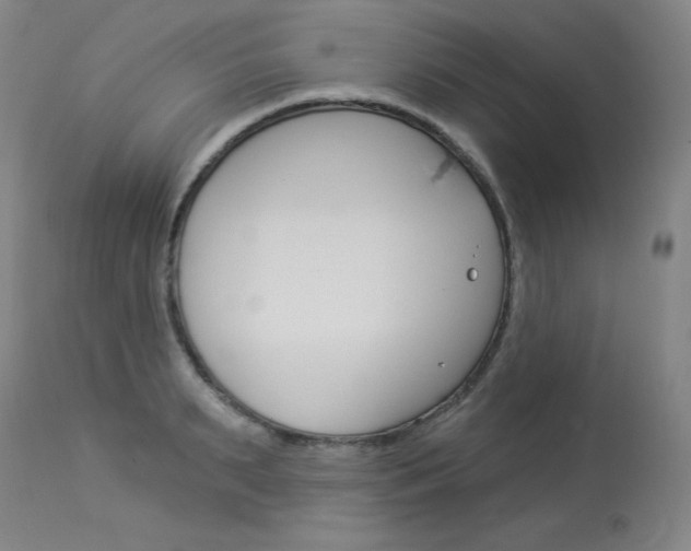 X0000114130895200910080959