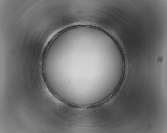 X0000114130896200910080959