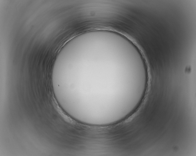 X0000114130897200910080959
