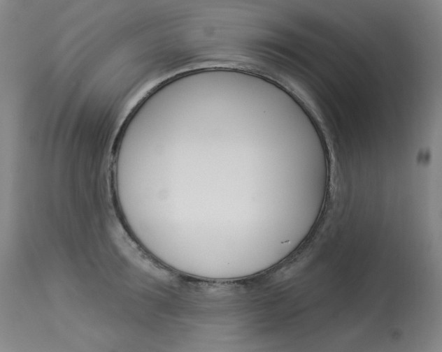 X0000114130899200910080959