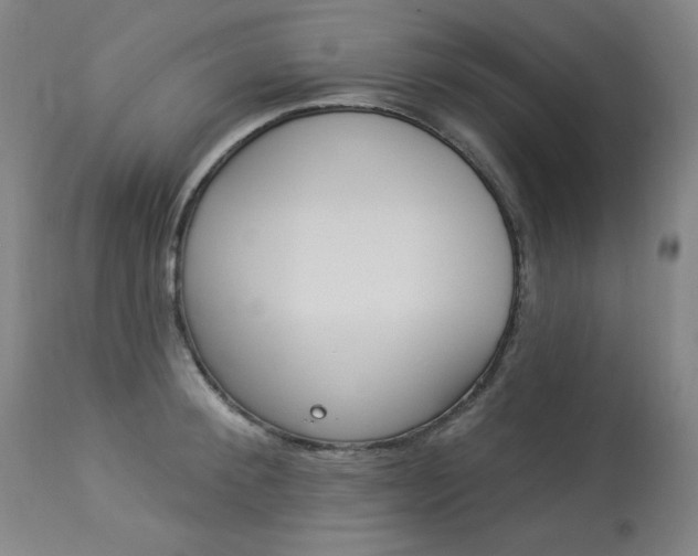 X0000114130900200910080959