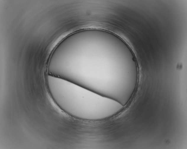 X0000114130901200910080959